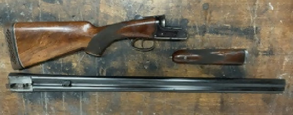 23003507