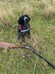 thumbnail_cid6084CAAD-604E-4D17-ACB0-FD638B4B0717