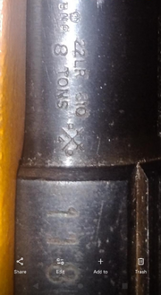 23401306