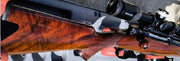 SR30 pic2 