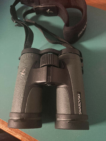21733790