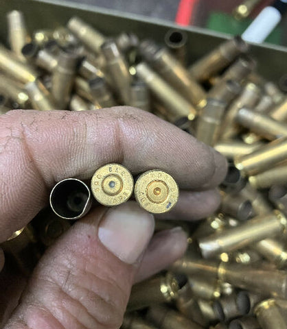 23369341