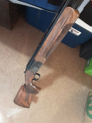 23079550