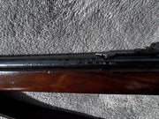 23000934