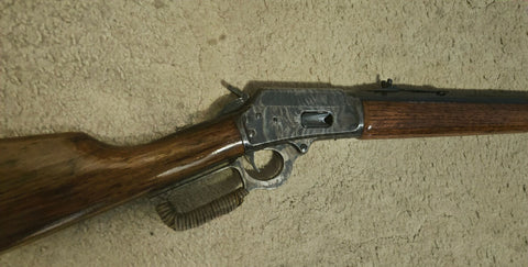 21667529