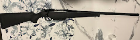 23251178