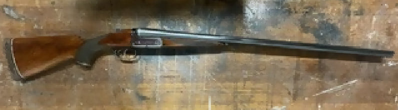 23003507