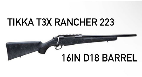 23074918