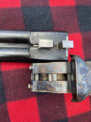 23560313